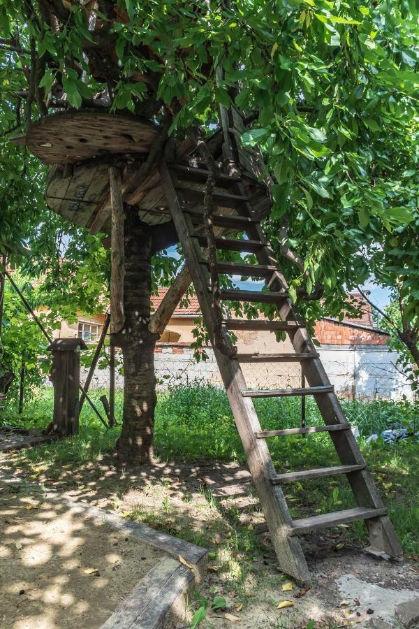 Pajta Apartman Eger Bagian luar foto